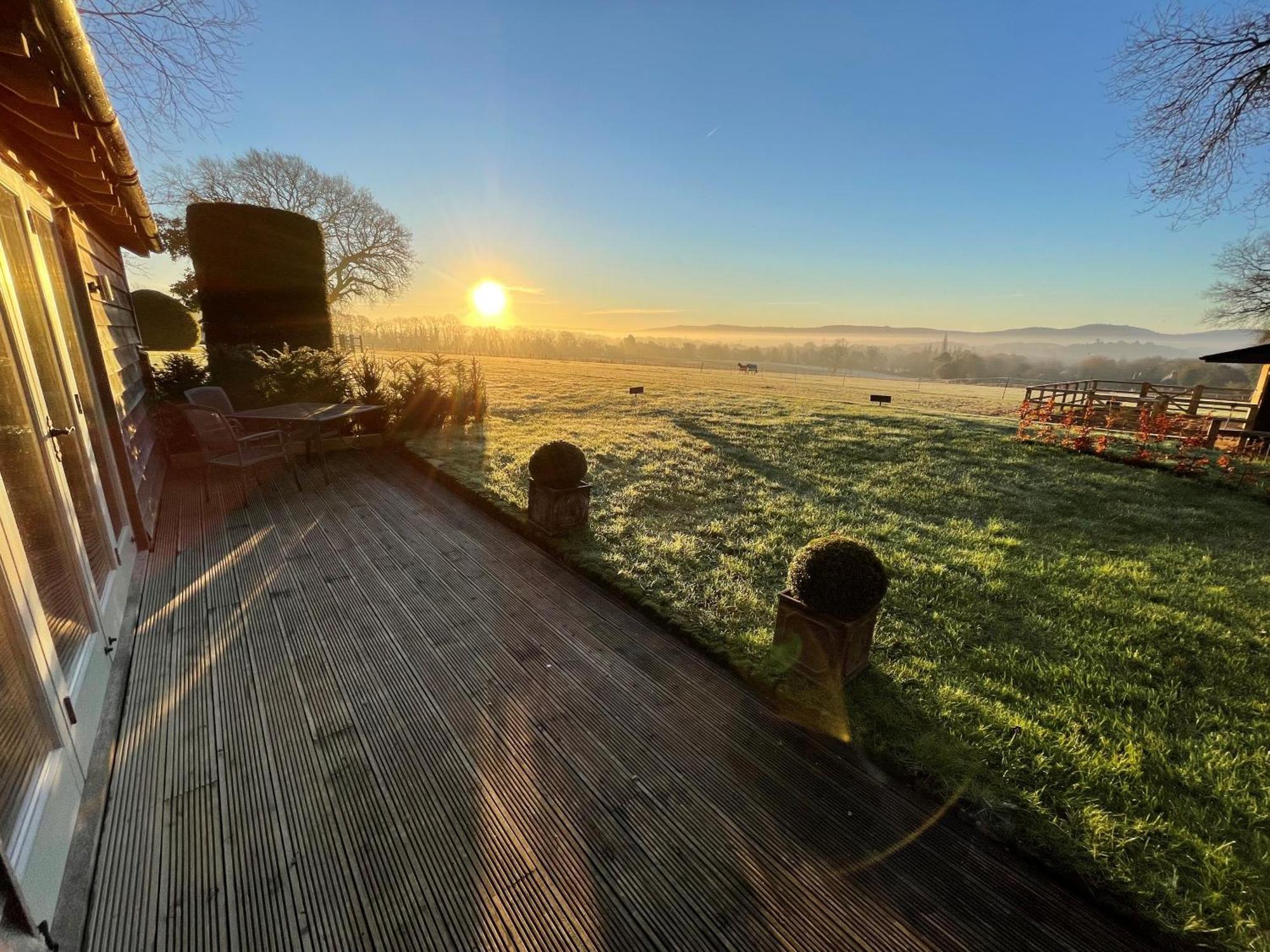 Stunning Cabin With Incredible Views Near Goodwood Rogate Esterno foto