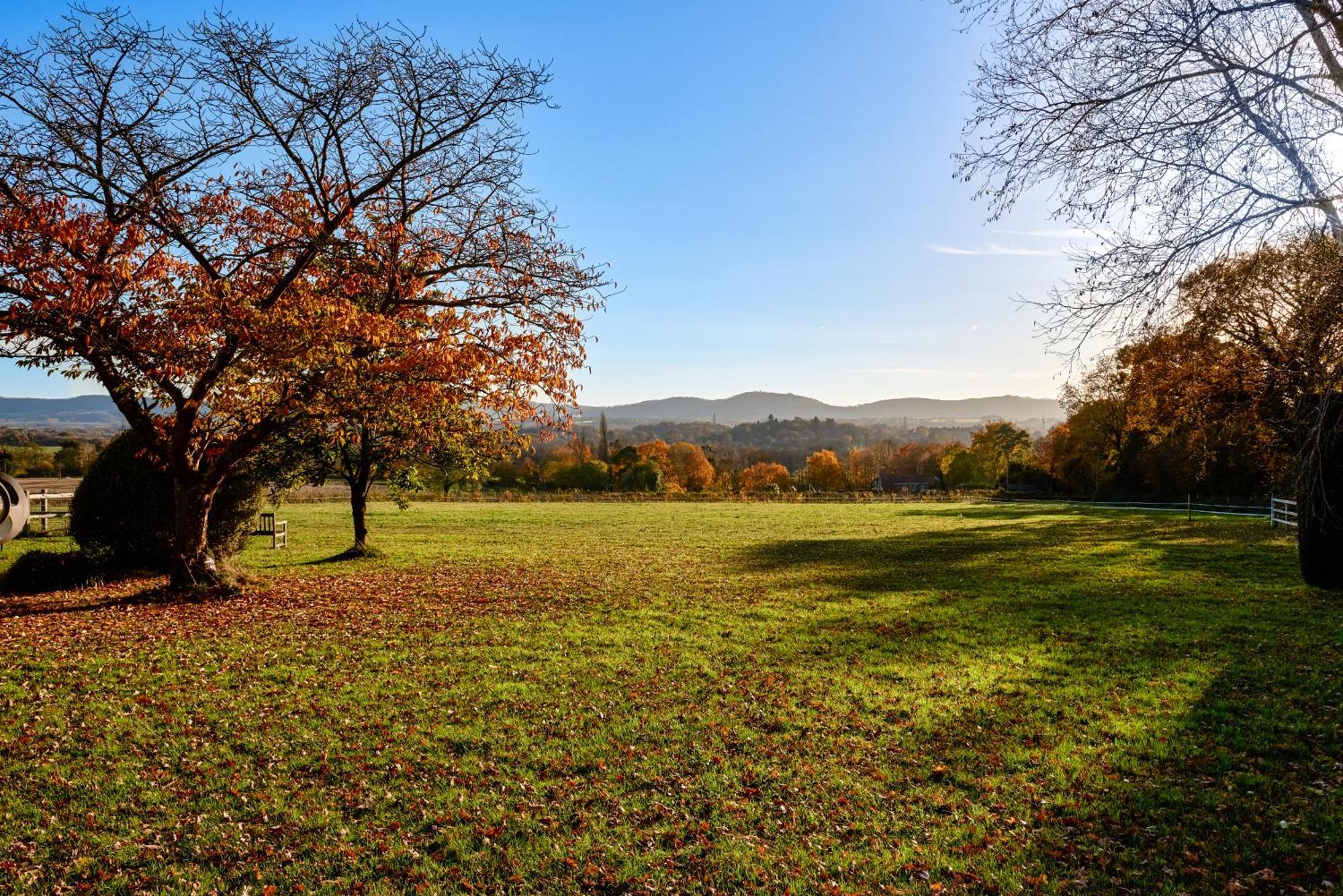 Stunning Cabin With Incredible Views Near Goodwood Rogate Esterno foto