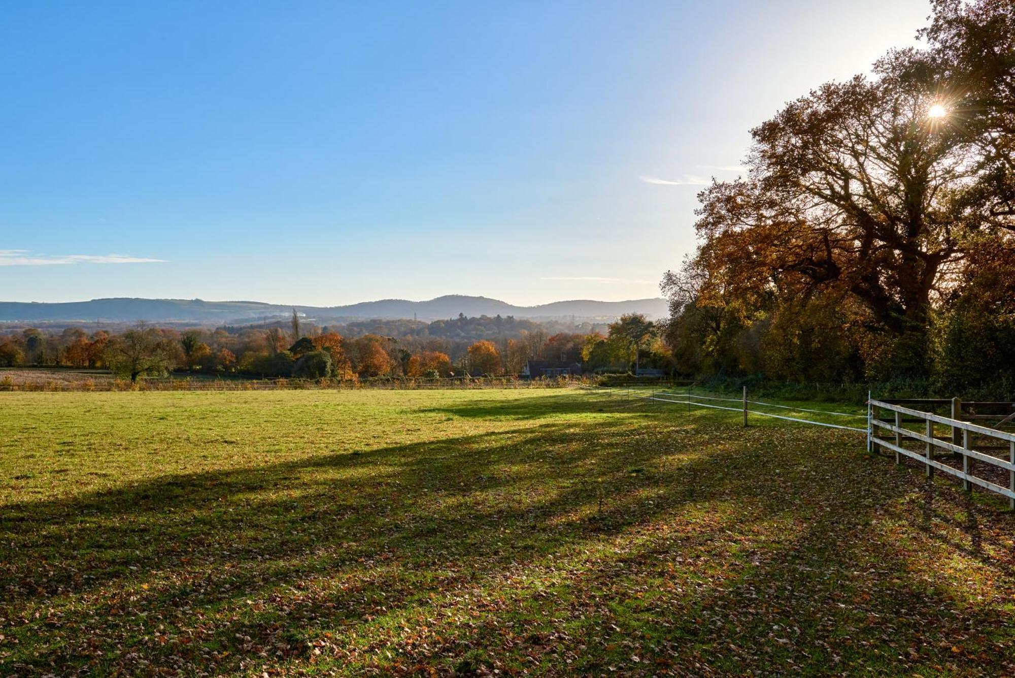 Stunning Cabin With Incredible Views Near Goodwood Rogate Esterno foto
