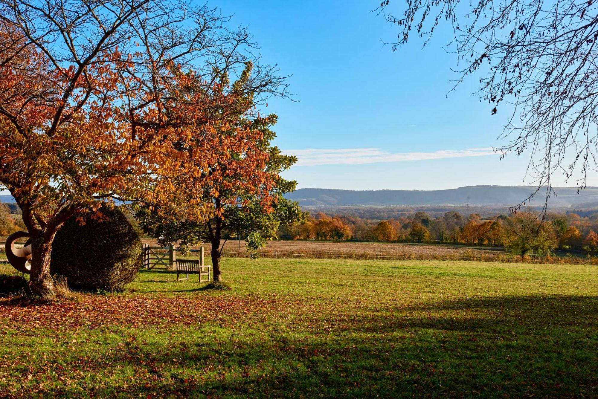 Stunning Cabin With Incredible Views Near Goodwood Rogate Esterno foto