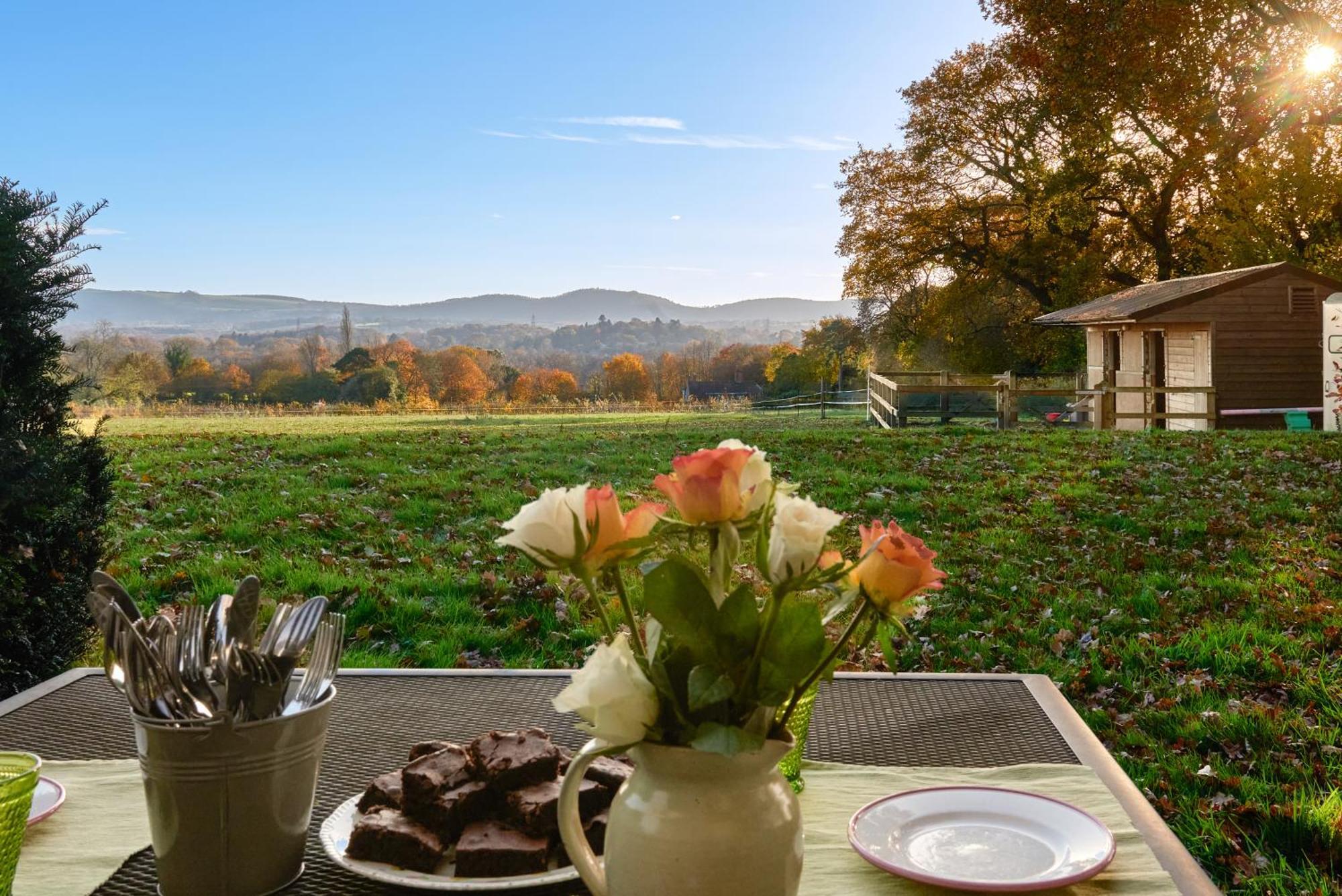 Stunning Cabin With Incredible Views Near Goodwood Rogate Esterno foto