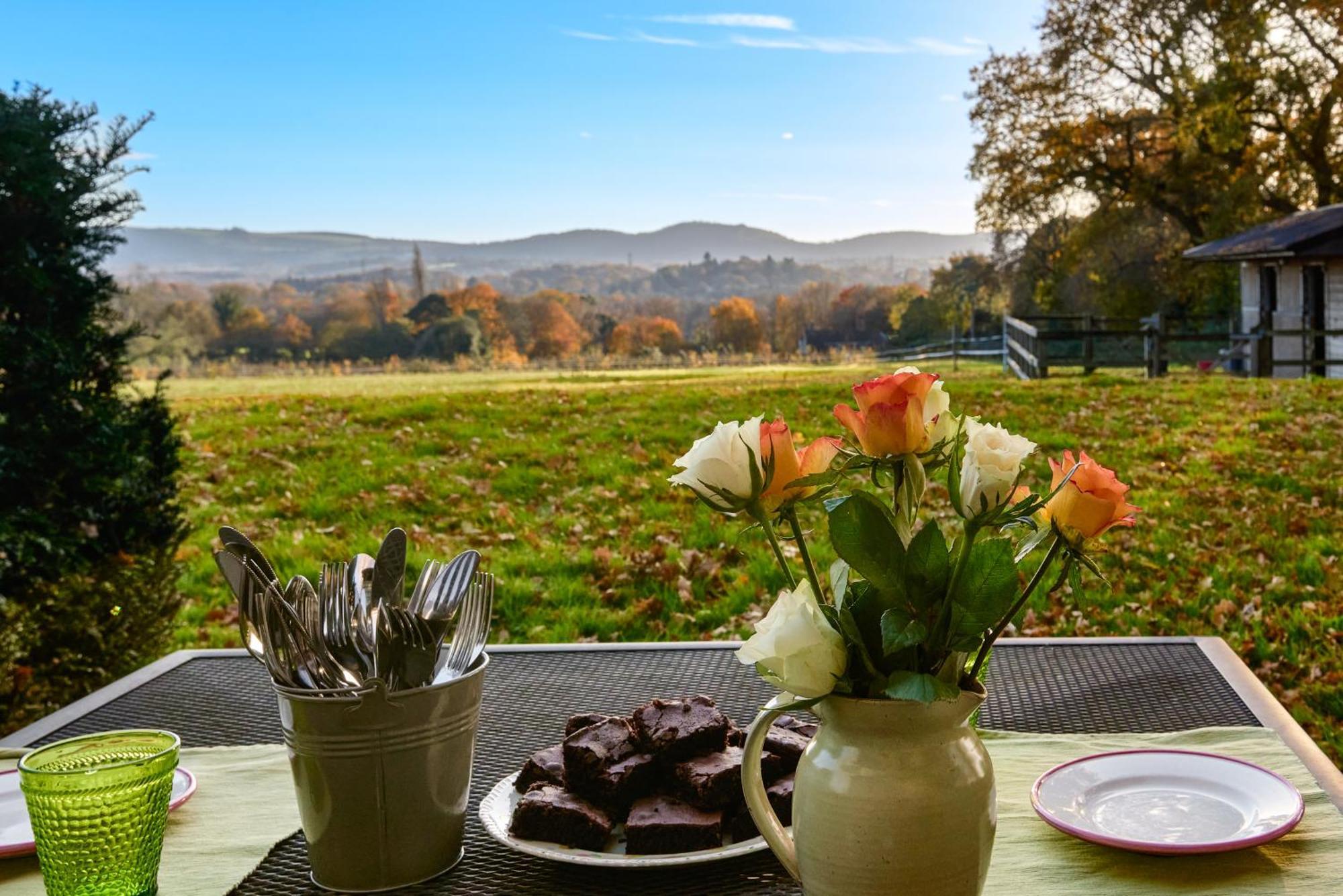 Stunning Cabin With Incredible Views Near Goodwood Rogate Esterno foto